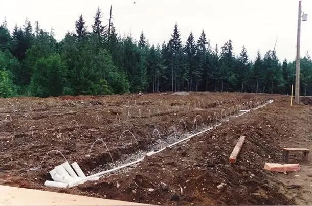 imgi_3_ba2cd3_0efa2fe4ffe042349fb6e951a2c22a00~mv2